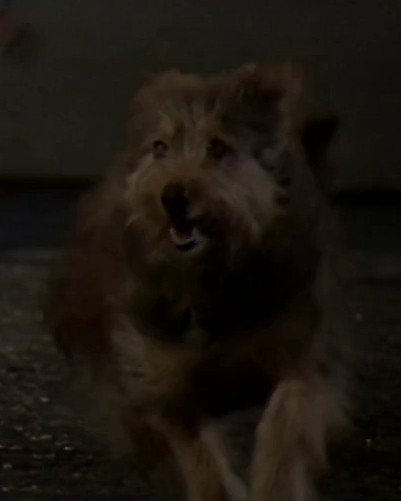 Fichier:Muffit dans Galactica, la bataille de l'espace.jpg