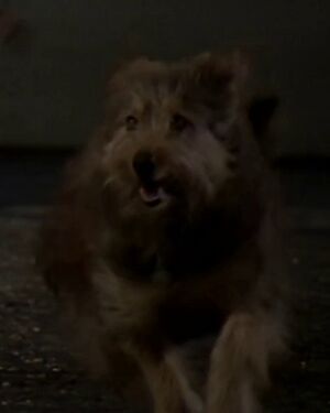 Muffit dans Galactica, la bataille de l'espace.jpg