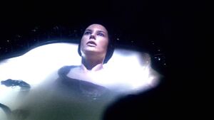 Hybride dans La Tête de lion.jpg